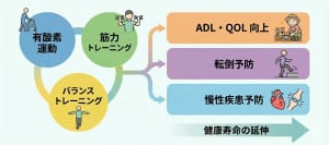 高齢者における有用な運動療法