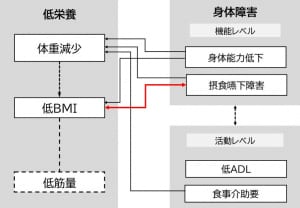 低栄養―障害サイクル