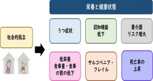 社会的孤立と栄養